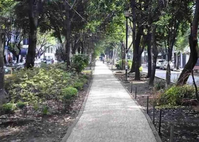 Location 3 Bedroom In Condesa Apartamento
